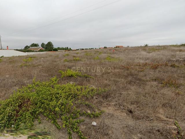 Terreno venda em Gâmbia-Pontes-Alto da Guerra, Setúbal