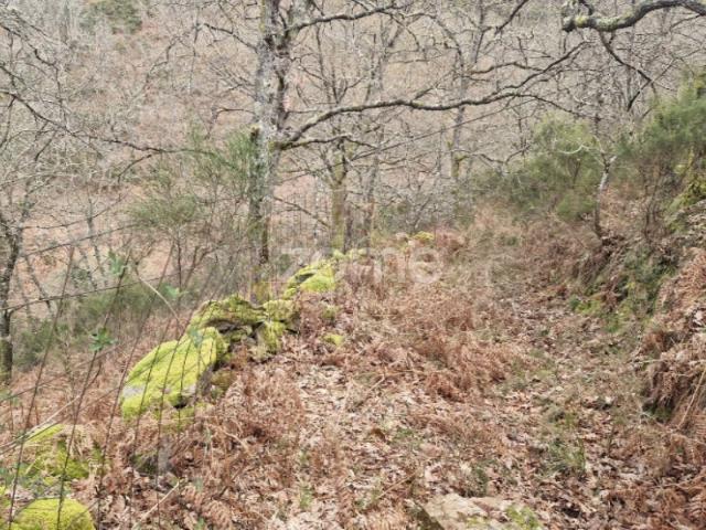 Terreno venda em Covelo Do Gerez, Vila Real
