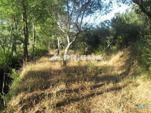 Terreno venda em Castelo Branco, Idanha-a-nova