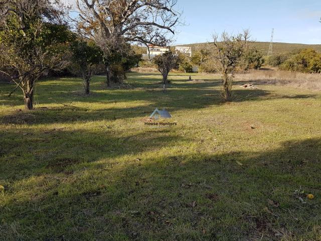 Terreno venda em Loulé (São Clemente), Loulé