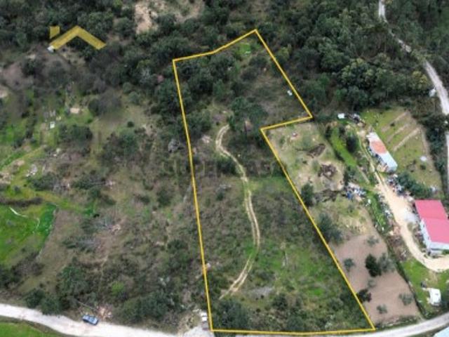 Terreno venda em Castelo Branco