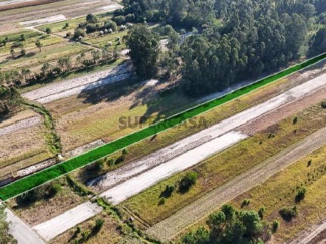 Terreno venda em Vagos