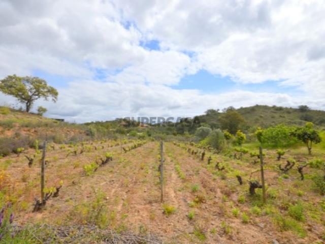 Terreno venda em São Bartolomeu De Messines, Faro