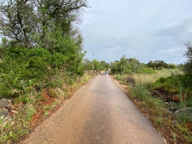 Terreno venda em São Bartolomeu De Messines, Faro