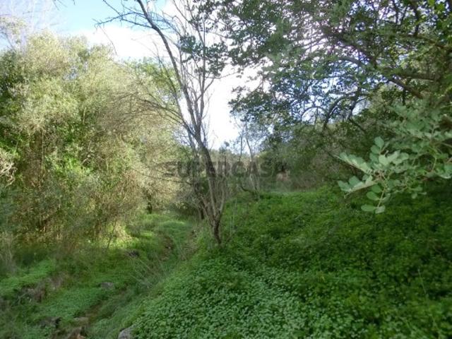 Terreno venda em Loulé, Faro