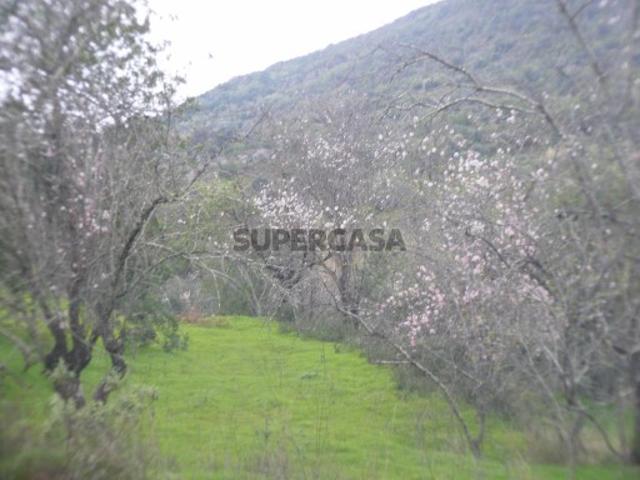 Terreno venda em Loulé, Faro