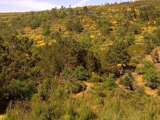 Terreno venda em Marvão, Portalegre
