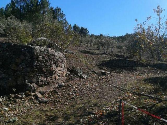 Terreno venda em Marvão, Portalegre