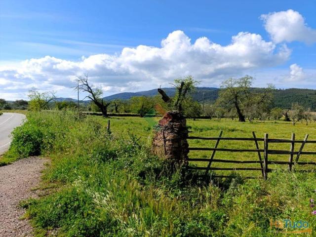 Terreno venda em Marvão, Portalegre