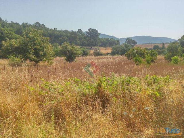 Terreno venda em Marvão, Portalegre