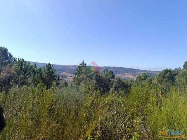 Terreno venda em Marvão, Portalegre