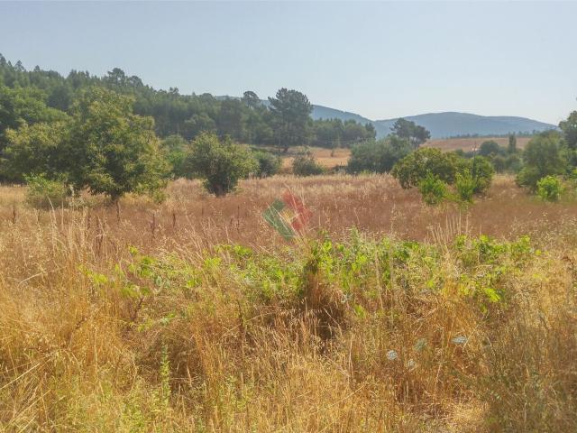 Terreno venda em Marvão, São Salvador Da Aramenha