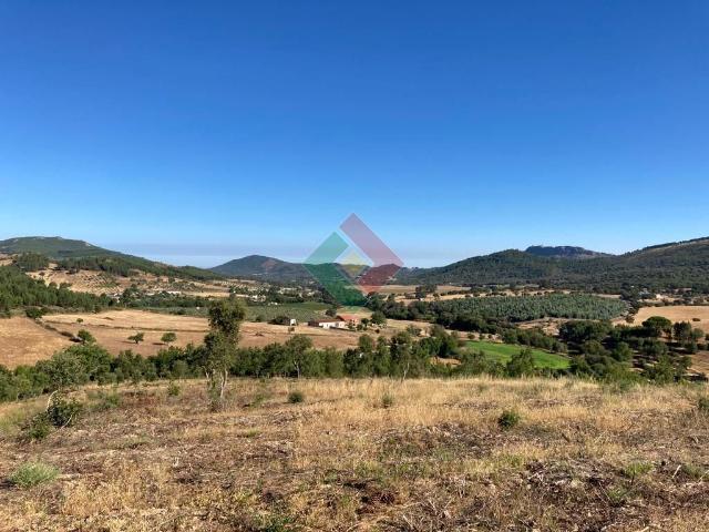 Terreno venda em Marvão, São Salvador Da Aramenha