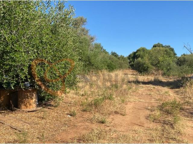 Terreno venda em Albufeira e Olhos de Água, Albufeira