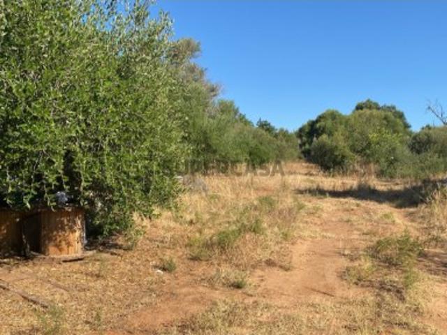 Terreno venda em Albufeira e Olhos de Água, Albufeira