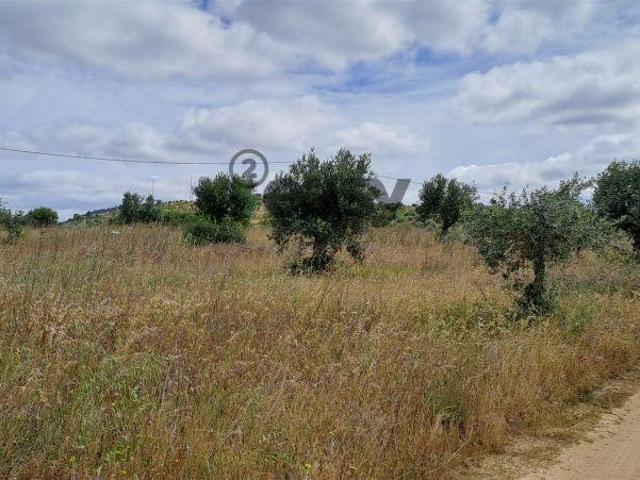 Terreno venda em Vidigueira, Beja