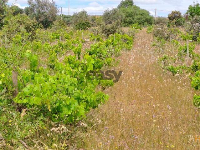 Terreno venda em Vidigueira, Beja