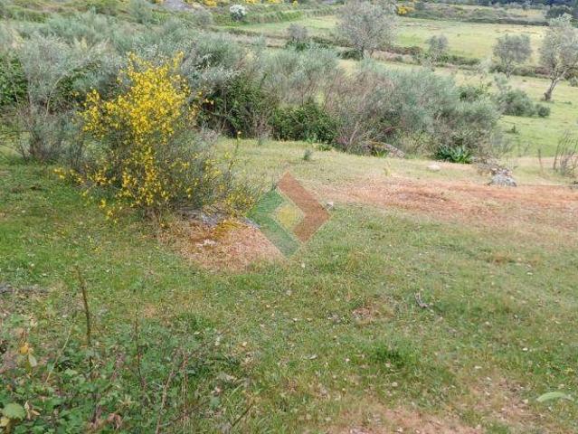 Terreno venda em Nisa, Portalegre