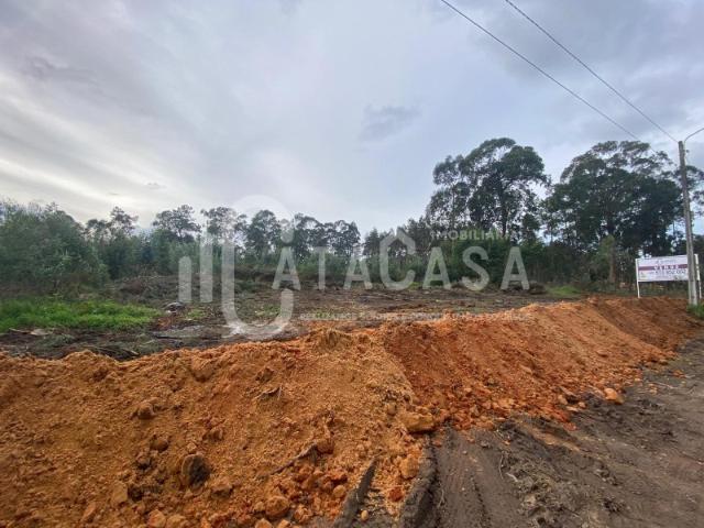 Terreno venda em Barro, Águeda