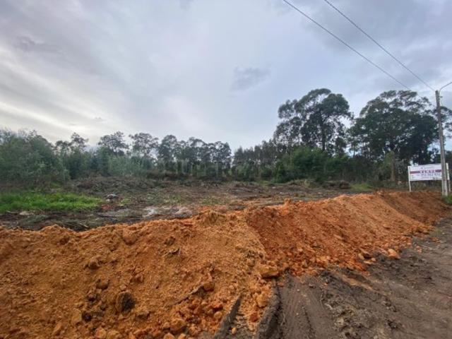 Terreno venda em Barro, Águeda