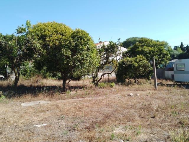 Terreno venda em Outeirinhos, Marinha Grande