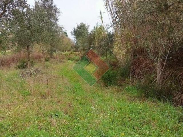 Terreno venda em Ponte De Sor, Portalegre