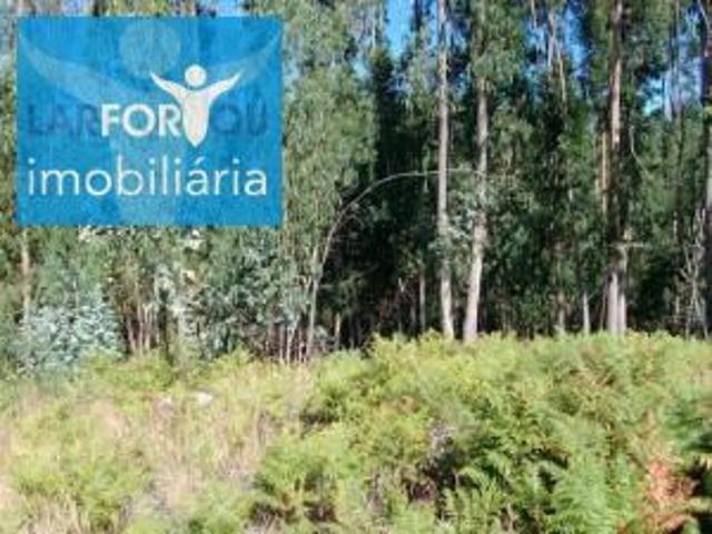 Terreno venda em Esperança e Brunhais, Póvoa De Lanhoso