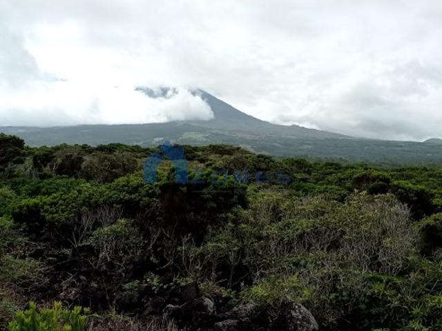 Terreno venda em Açores, Madalena