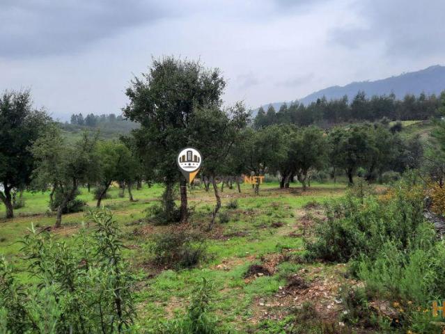 Terreno venda em Castelo Branco, Vila Velha De Ródão