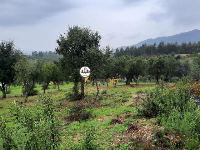 Terreno venda em Castelo Branco, Vila Velha De Ródão