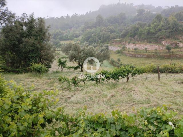 Terreno venda em Covas, Braga