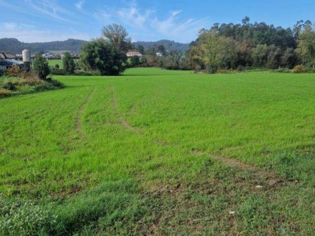 Terreno venda em Trofa, Porto