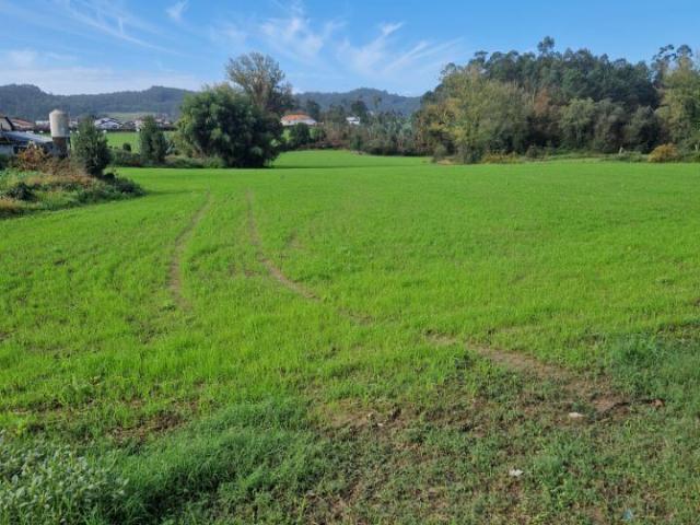 Terreno venda em Trofa, Porto