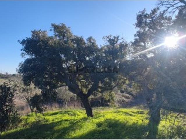 Terreno venda em Grândola, Setúbal