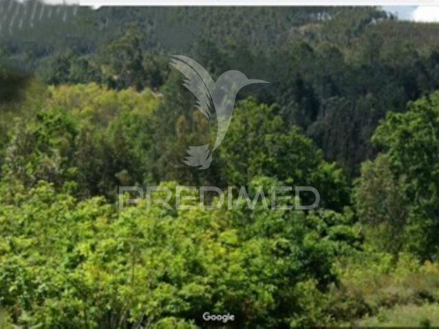 Terreno venda em Fonte Fresca, Sever Do Vouga