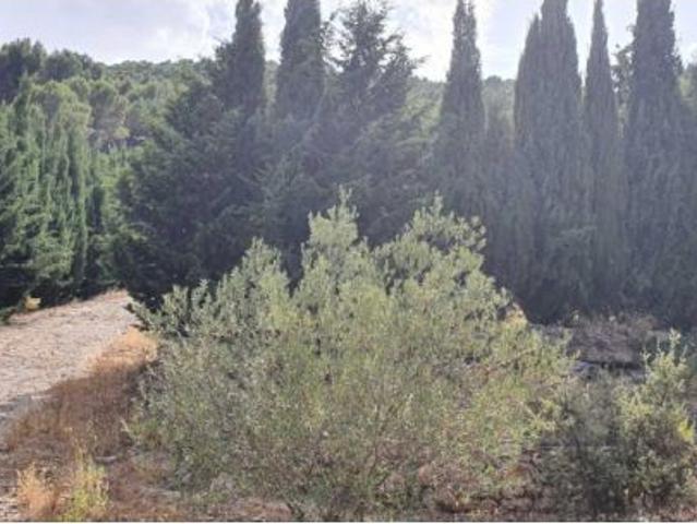 Local Comercial en venta en Sierra de las Nieves, Andalucía