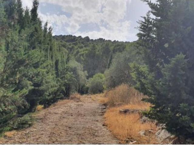 Local Comercial en venta en Sierra de las Nieves, Andalucía