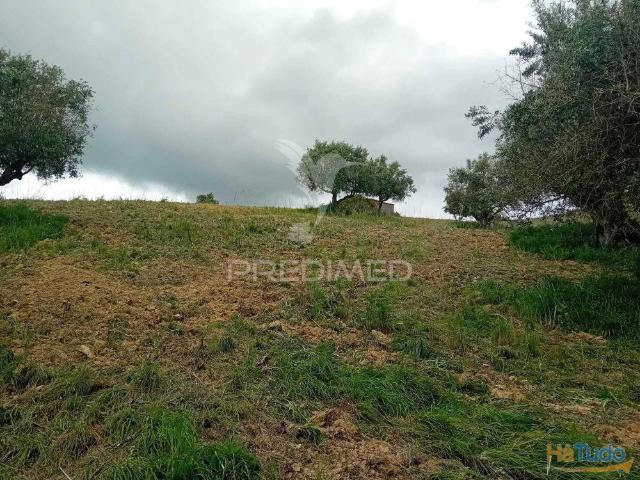 Terreno venda em Santarém