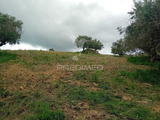 Terreno venda em Santarém