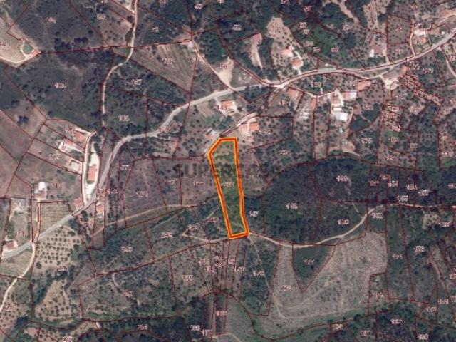 Terreno venda em Tomar, Santarém