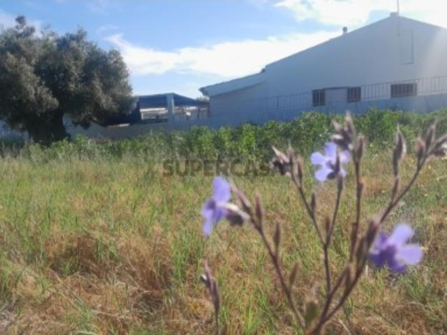 Terreno venda em Patã de Cima, Loulé