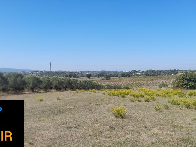 Terreno venda em Madalena e Beselga, Tomar