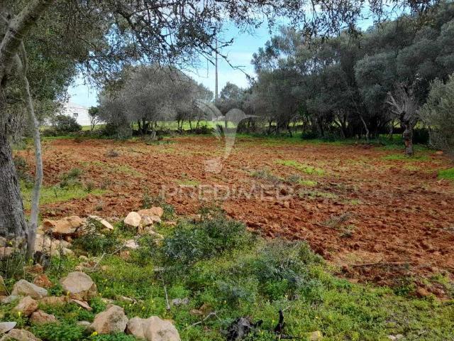 Terreno venda em Urbanização Quinta das Palmeiras, Olhão