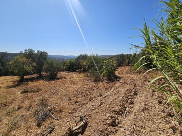 Terreno venda em Loulé, Faro