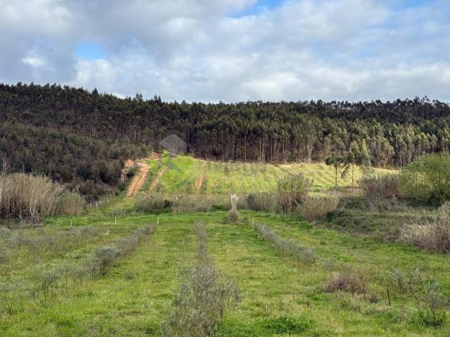 Terreno venda em Torres Vedras, Lisboa