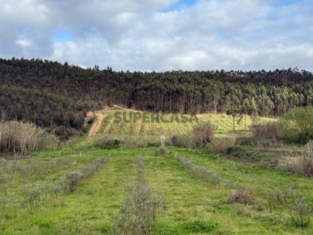 Terreno venda em Torres Vedras, Lisboa