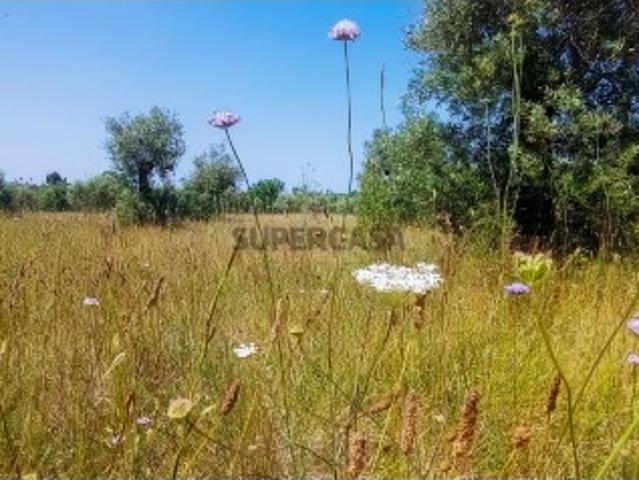 Terreno venda em Pussos, Leiria