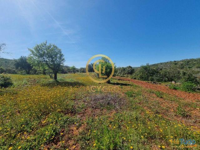 Terreno venda em Loulé, Faro