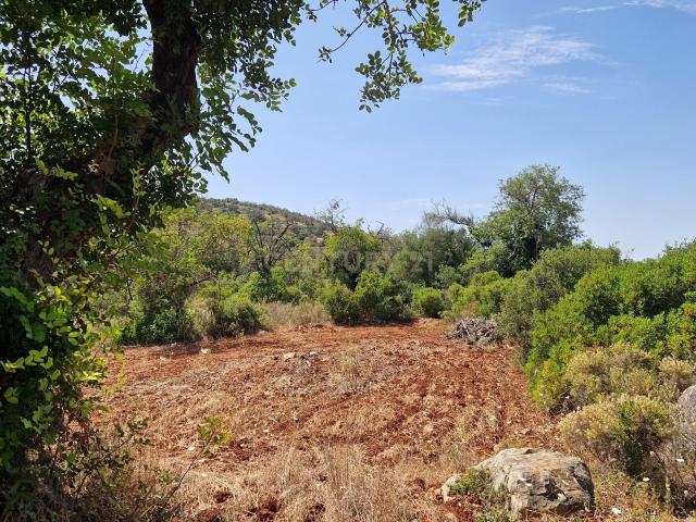 Terreno venda em Albufeira, Faro