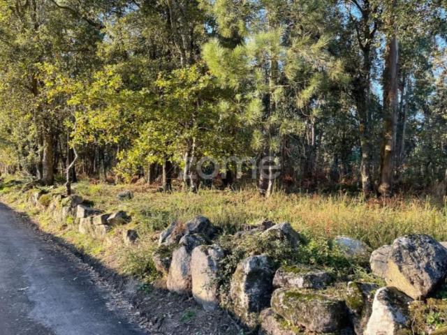 Terreno venda em Viana Do Castelo